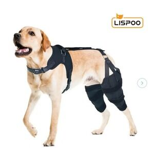 Black Dog Support Harness